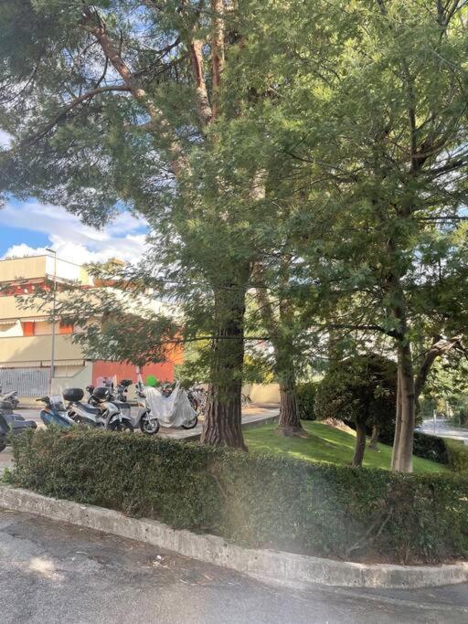 La Casa Di Teri A Chiavari Exteriér fotografie
